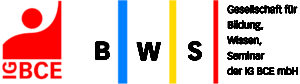 BWS_Logo_4c